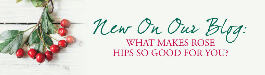 Rose Hips, Why is it so good for you?
