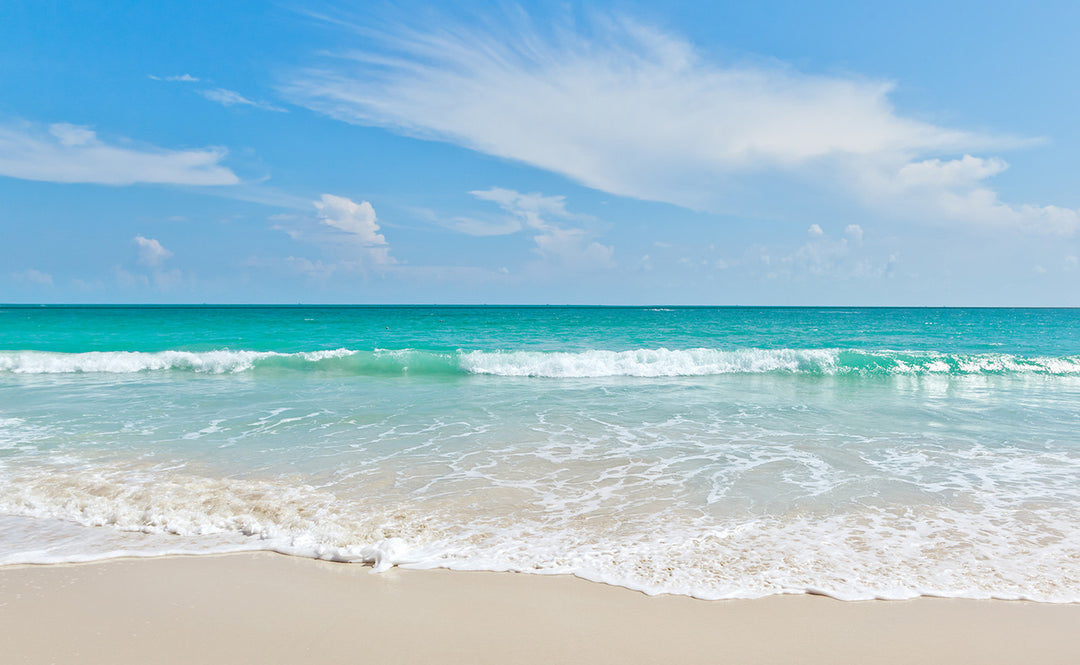 Summer's Almost Over!