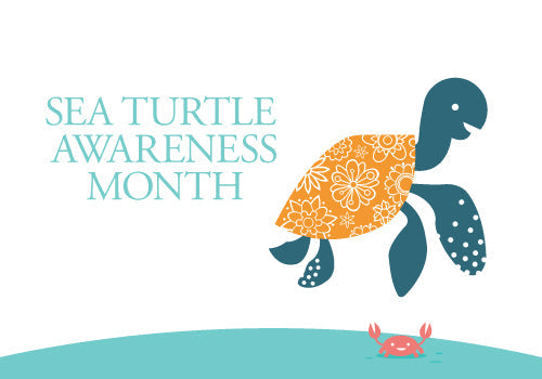 July: Sea Turtle Awareness Month