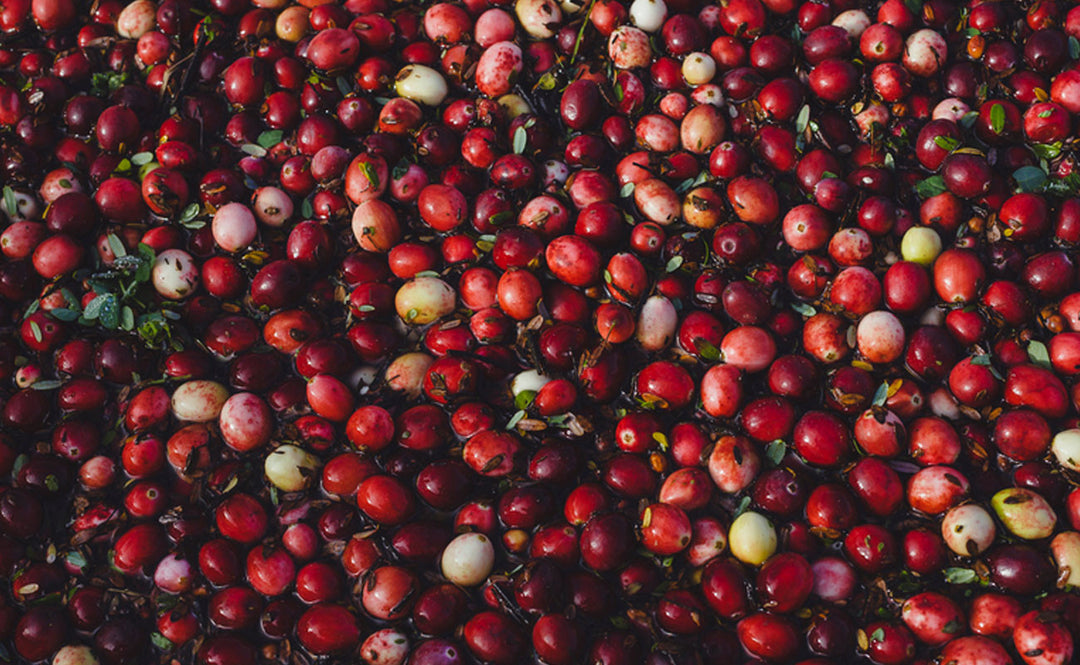 Benefits of Cranberry