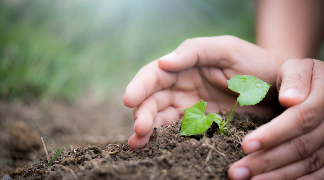 Celebrating Earth Day