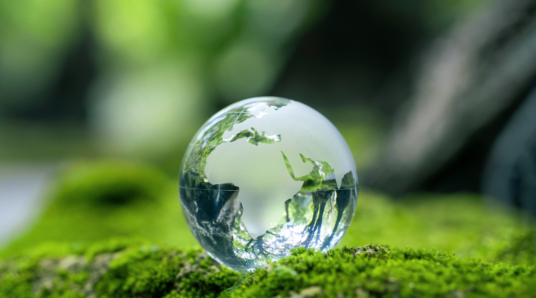 2013 Environmental Impact Estimator