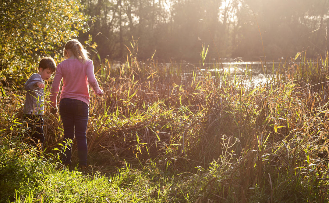 Deet-Free and Effective: Bug Repellent