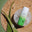Pure Aloe Recovery Gel 6 oz