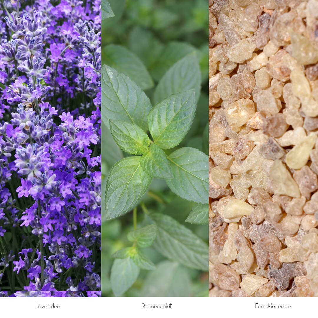 Botanical image featuring purple lavender flowers, fresh green peppermint leaves, and golden frankincense resin pieces.