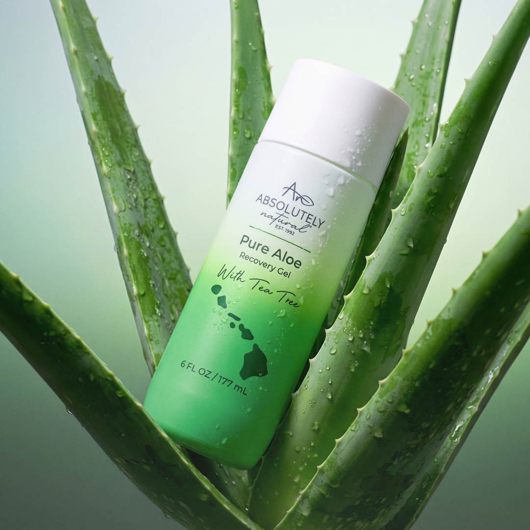 pure aloe vera plant for sunburn Pure Aloe Recovery Gel 6 oz